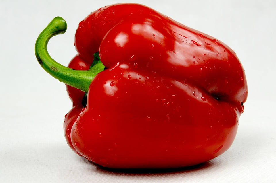 Paprika full izle