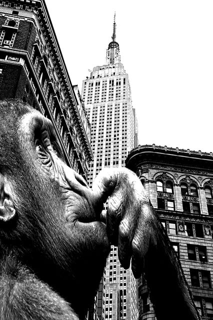 Abe, Bygning, King Kong, Primat, Ansigt