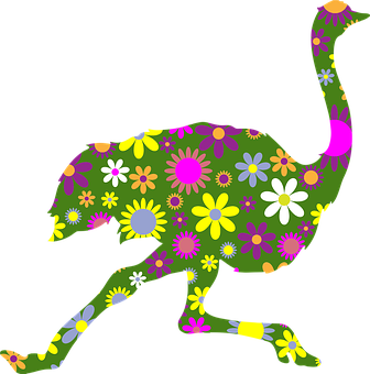 30 Free Ostrich Bird Vectors Pixabay