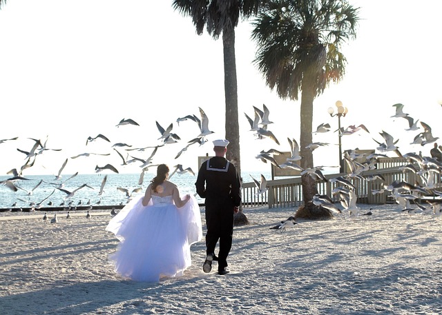 Free Wedding Beach photo and picture