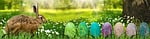 banner, easter, hare