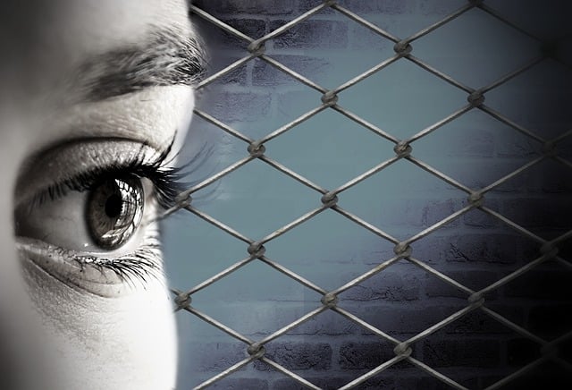 Free eye view refugees illustration