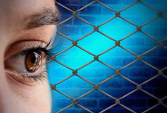 Auge, Blick, Flüchtlinge, Zaun, Gesicht