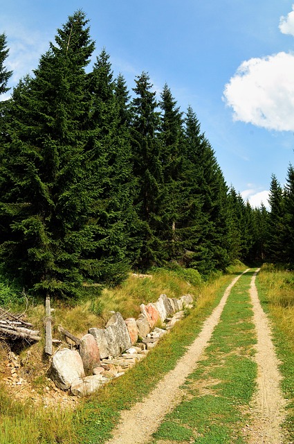 Free Czech Republic Krkonoše Mountains photo and picture