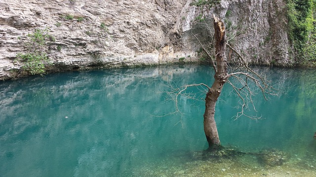 Free Landscape Nature photo and picture