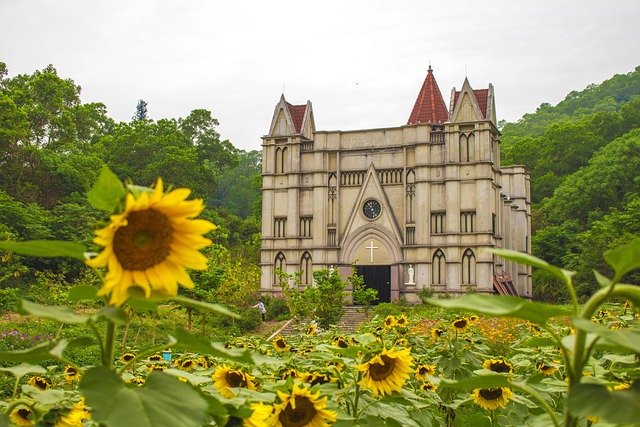 Free English Church Sunflower photo and picture