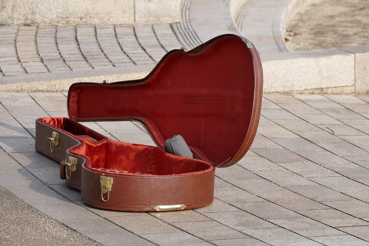 Guitar Case Instrument Free photo on Pixabay Pixabay