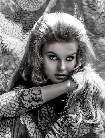 300+ Free Hollywood Actress & Actress Images - Pixabay