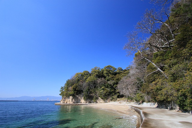 Free Sea Blue Sky photo and picture
