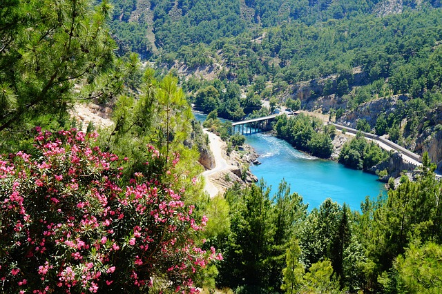 Truthahn, Berg, Wasser, Landschaft, Wald