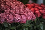 roses, flower, market