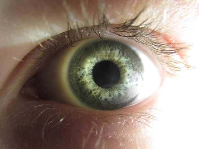Free Eye Colors photo and picture