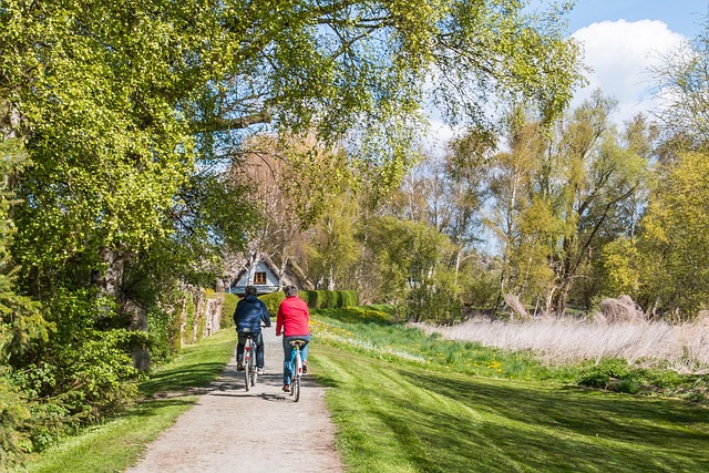 Free Ostseebad Ahrenshoop To Go Biking photo and picture