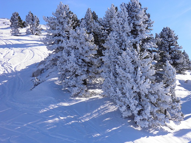 Free Villard-De-Lans France photo and picture