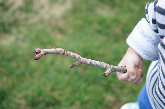 Baby, Kind, Junge, Niedlich, Kindheit