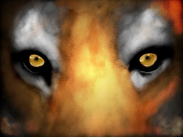 Free Tiger Eyes illustration and picture