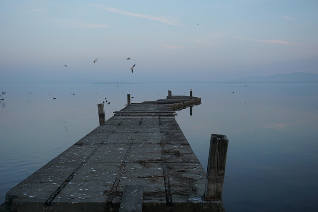 Free The Needle Jetty photo and picture