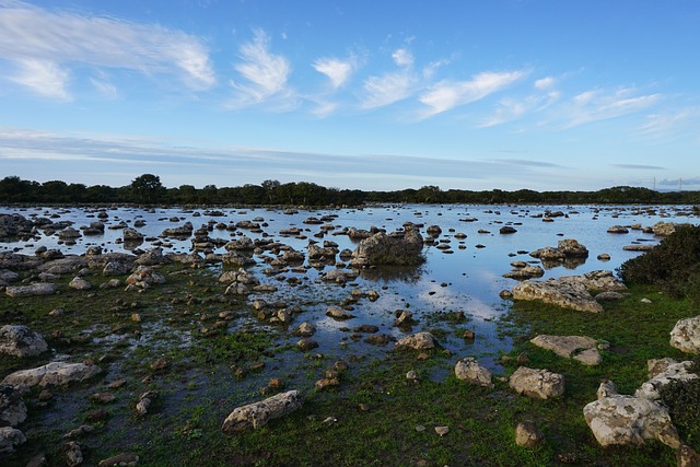 Free Water Nature photo and picture