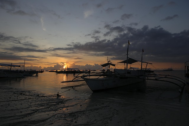 Free Ocean In The Evening photo and picture