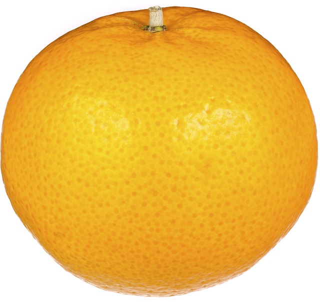 Free Orange Fruit photo and picture