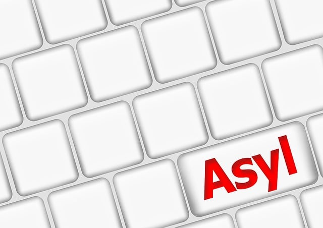 Free asylum politically keyboard illustration