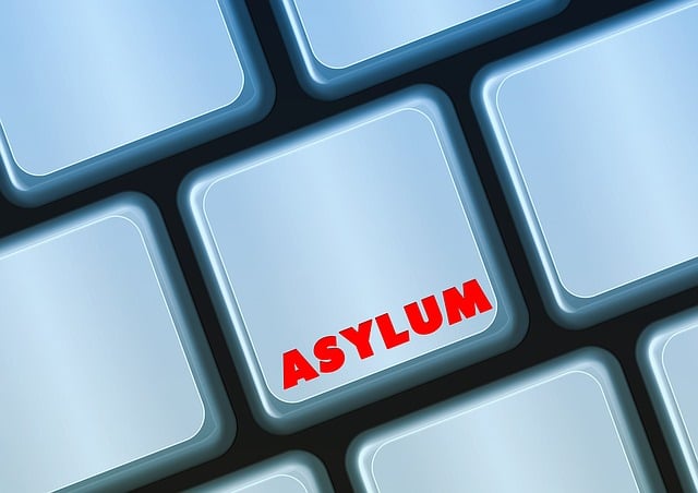 Free asylum politically keyboard illustration