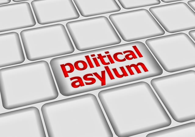 Asyl, Politisch, Tastatur, Online