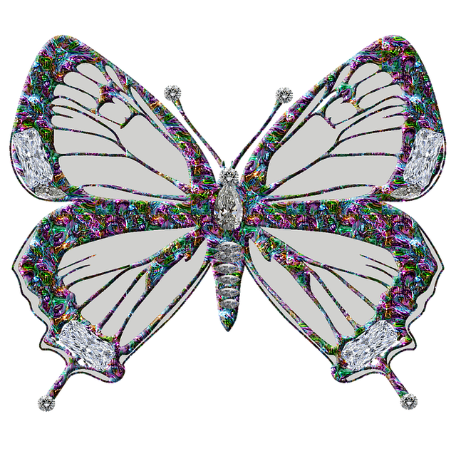 Free Butterfly Insect illustration and picture