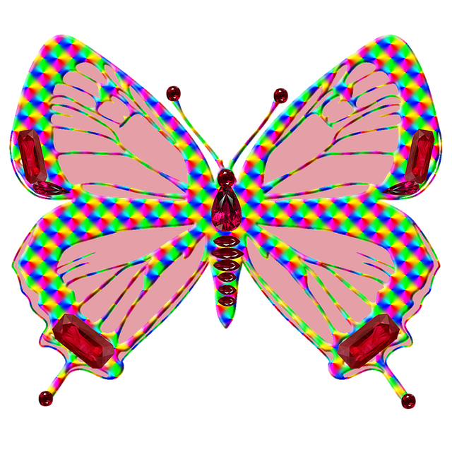 Free Butterfly Insect illustration and picture