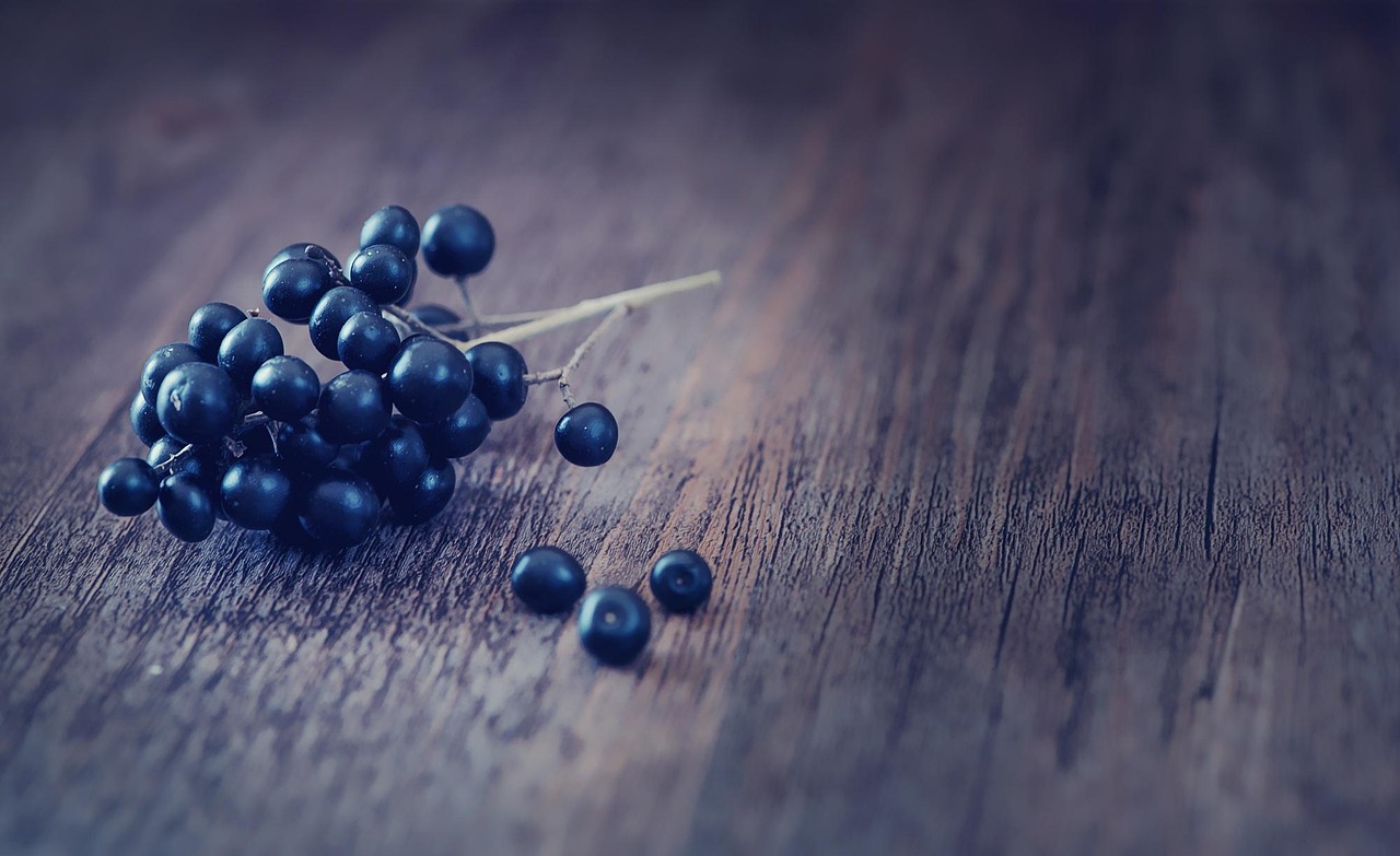 10.000+ kostenlose Liguster-Beeren & Beeren Fotos - Pixabay