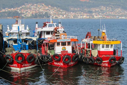 Spania, Galicia, Båter, Fiske, Blåskjell