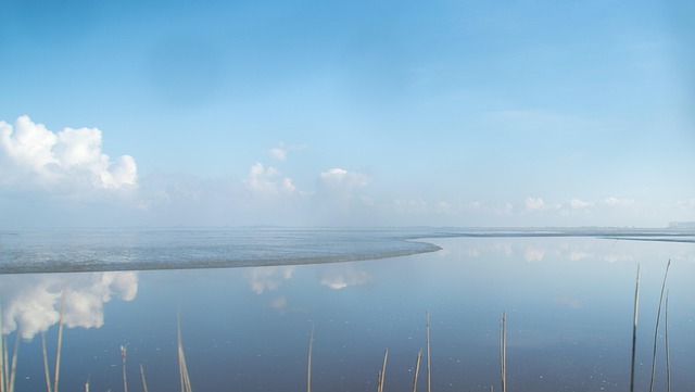 Free Water Coast photo and picture