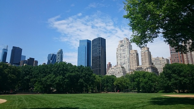 Park, Große Stadt, In New York City