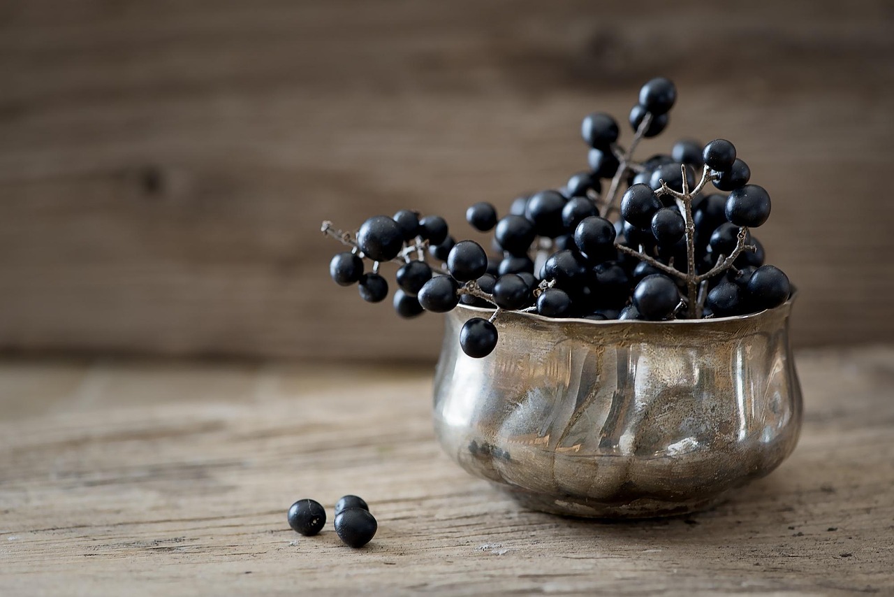 Liguster Liguster-Beeren - Kostenloses Foto auf Pixabay