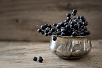 privet, privet-berries, dark blue