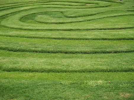 Free Nature Grass photo and picture