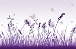 wallpaper, purple, grey
