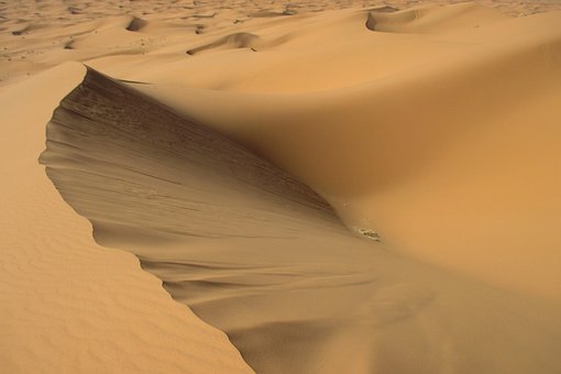Free True Sahara photo and picture