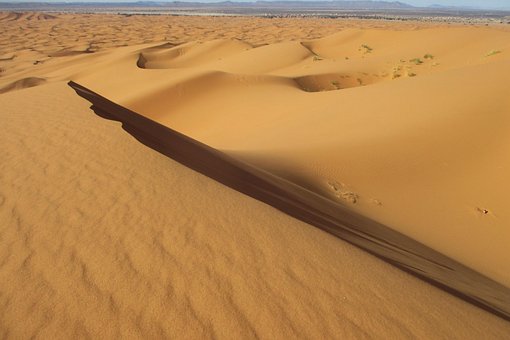 Free True Sahara photo and picture