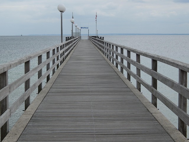 Free Baltic Sea Haffkrug photo and picture