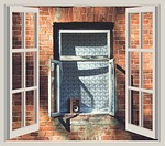 window, wall, building