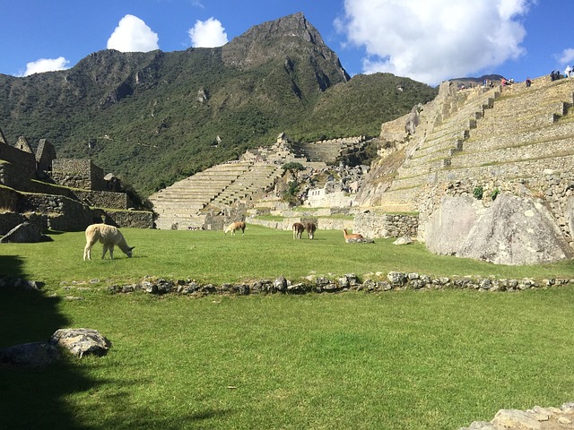 Free Machu Pichu Peru photo and picture