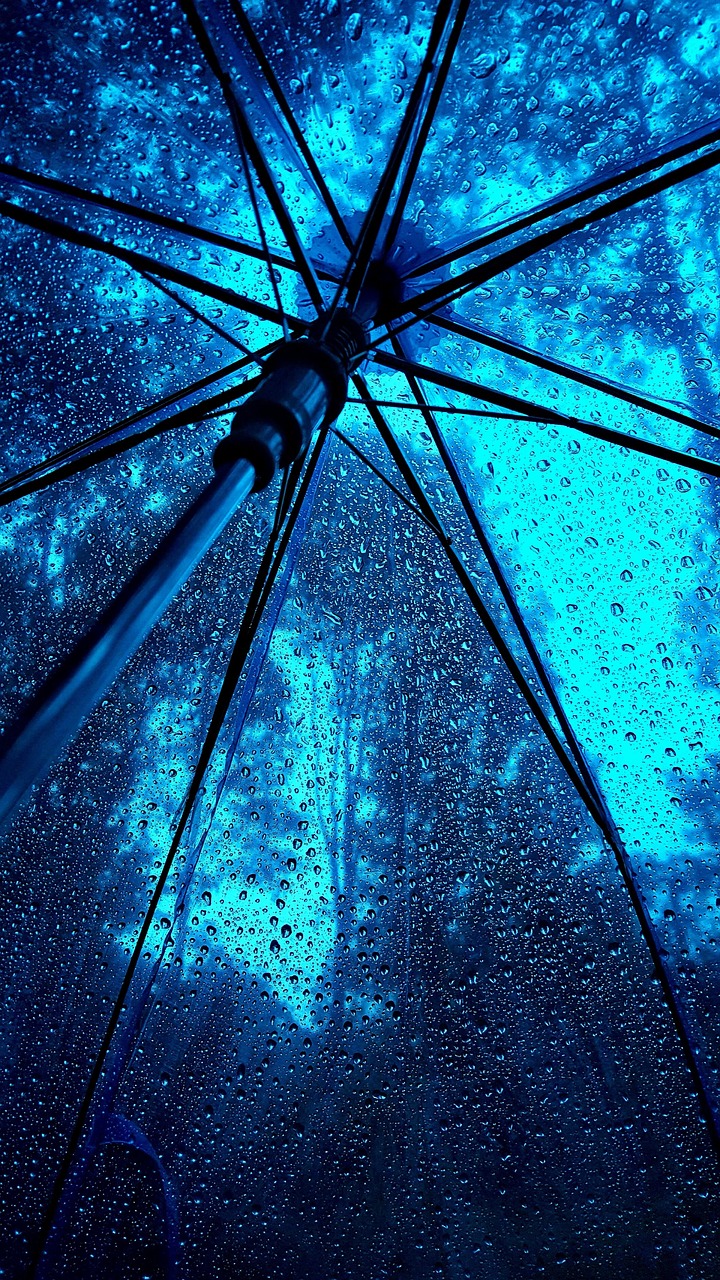 Umbrella Rain Free photo on Pixabay Pixabay
