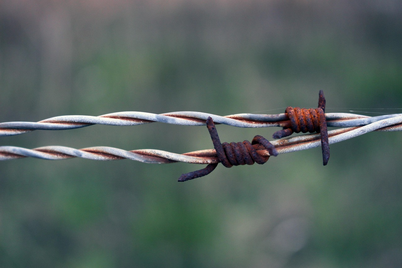 Brabwire Rusted Barbed Wire Rust Rusty - Free photo on Pixabay - Pixabay