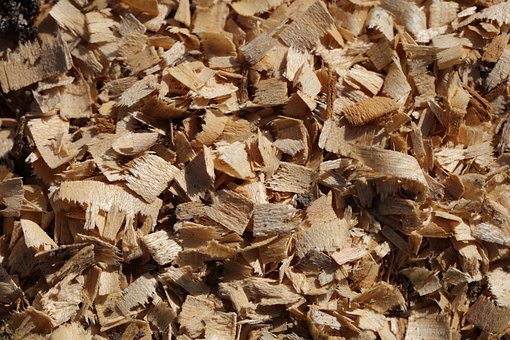 Free Chips Wood photo and picture