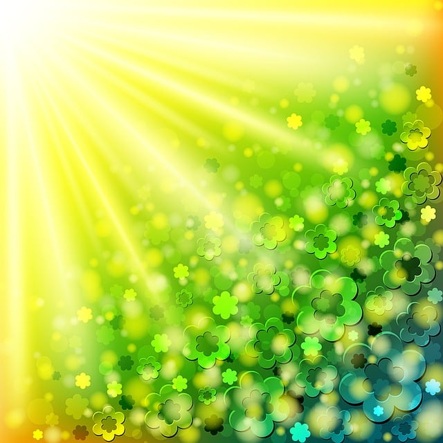 Free flower happy birthday sunray illustration
