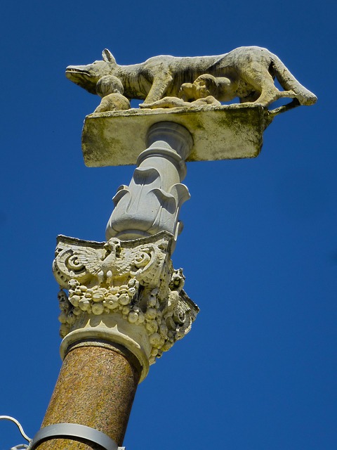 Free Italy She Wolf photo and picture