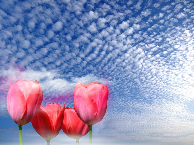 Free graphic spring easter illustration