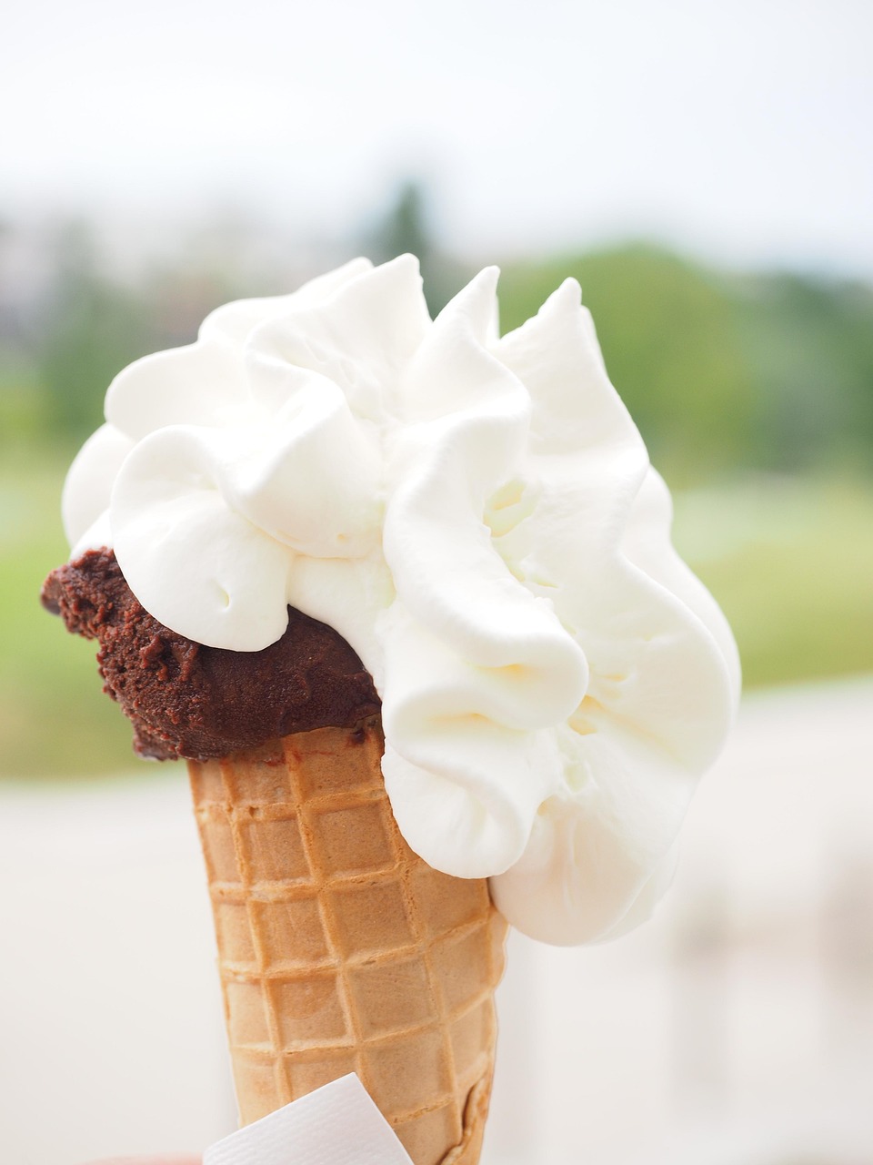 Ice Cream Soft Waffle Free photo on Pixabay Pixabay