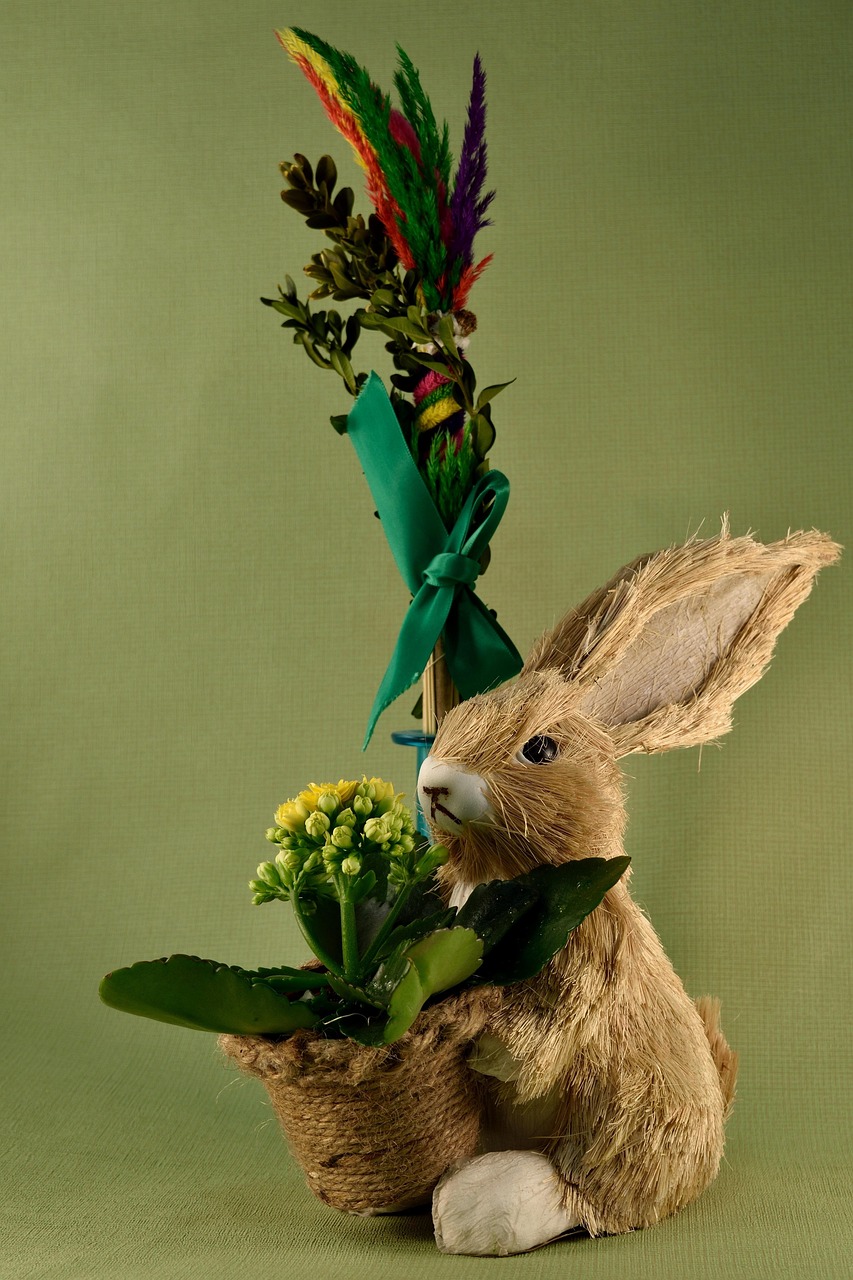 Download free HD stock image of Easter Palma Free Easter Palma photo and picture